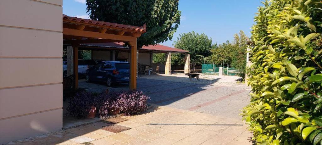 Evelina'S Studio Artemida  Exterior foto